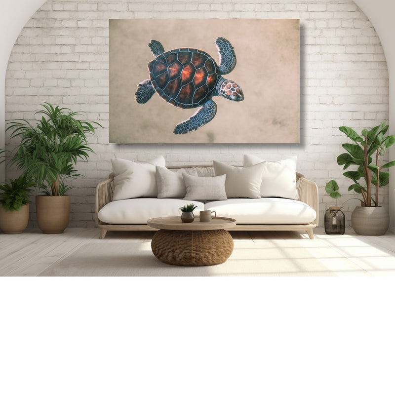 Zeeschildpad