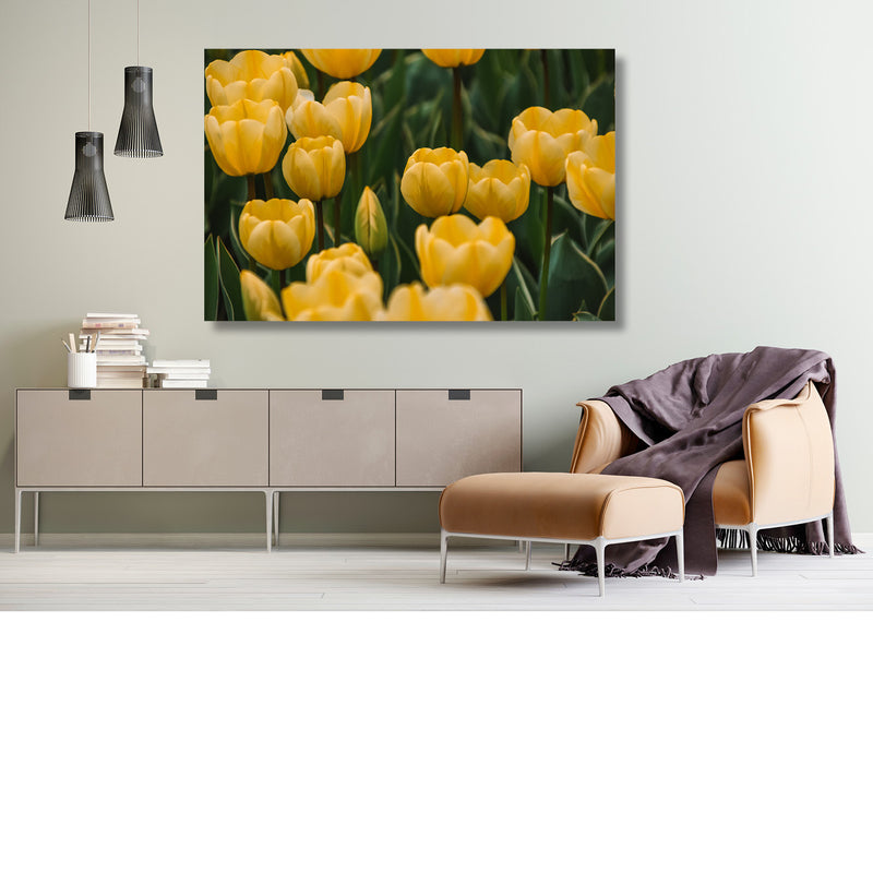 Tuiltje tulpen