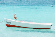 Een pelikaan rust op een bootje op Bonaire