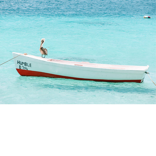 Een pelikaan rust op een bootje op Bonaire