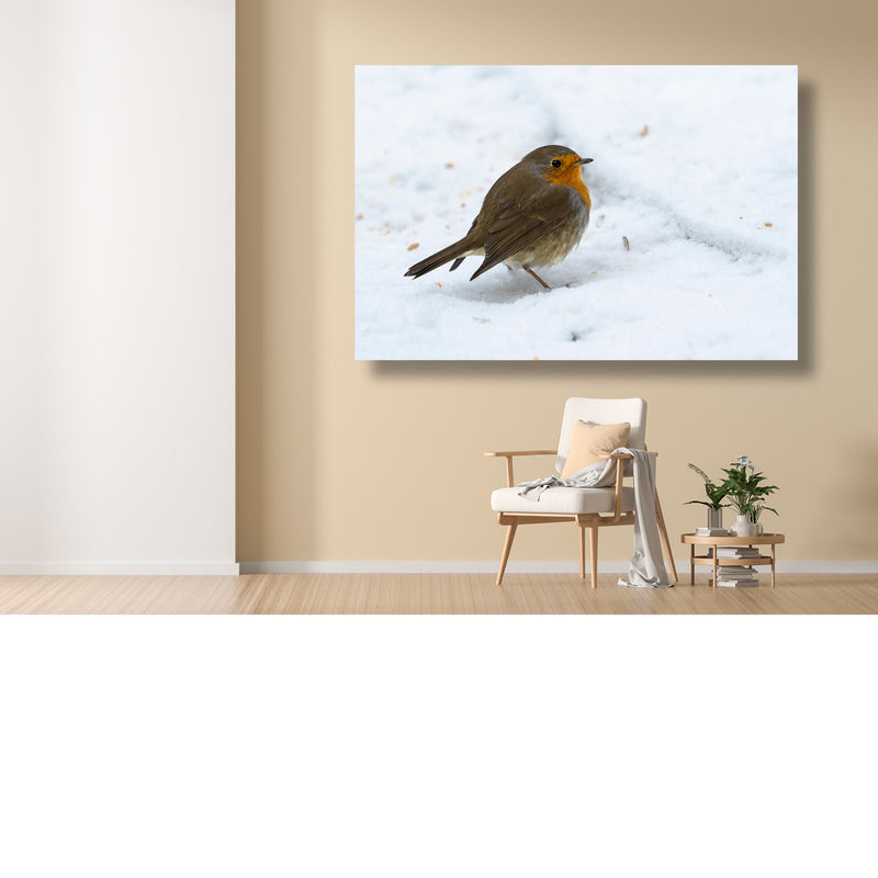 Brave Little Robin
