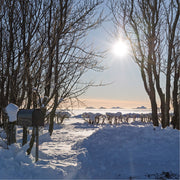 IJsland, sneeuwlandschap met waterig zonnetje