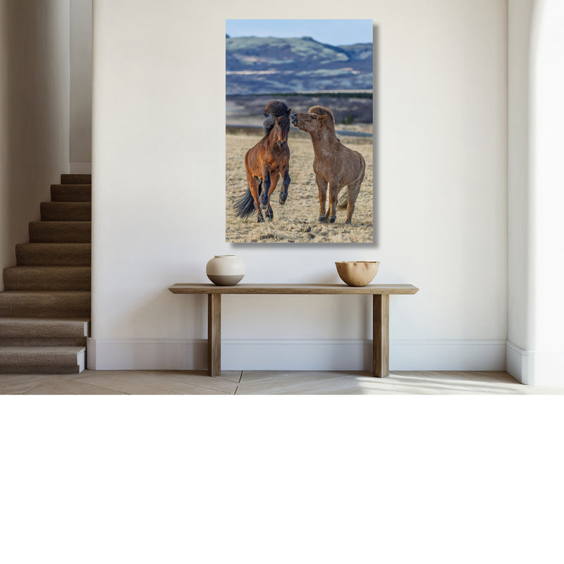 Paardengevecht