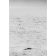 Just orka's 