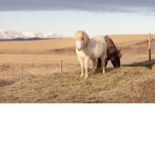 Are you talking to me?!