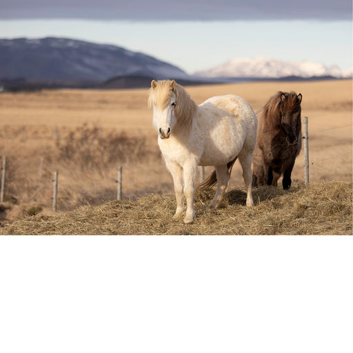 Are you talking to me?!