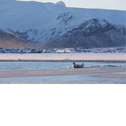 Gletsjer met zeehond