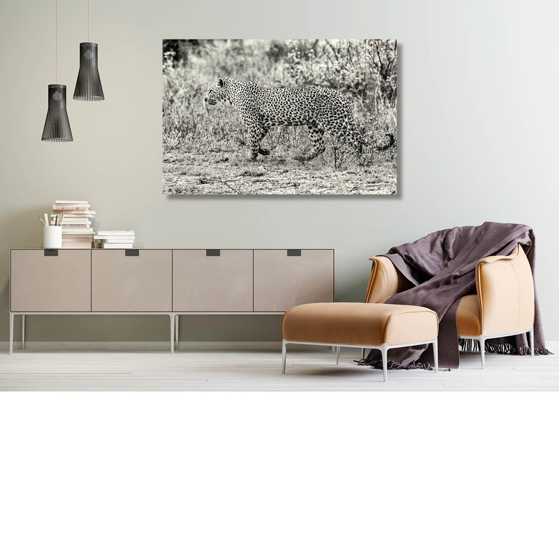 Jaguar (Zwart-wit)
