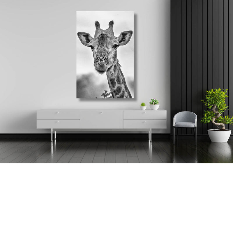 Hi there! (Zwart-wit)