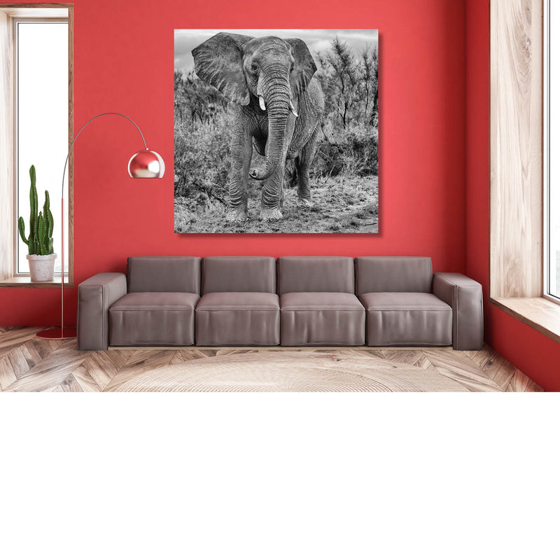Stoere jonge man (Zwart-wit)