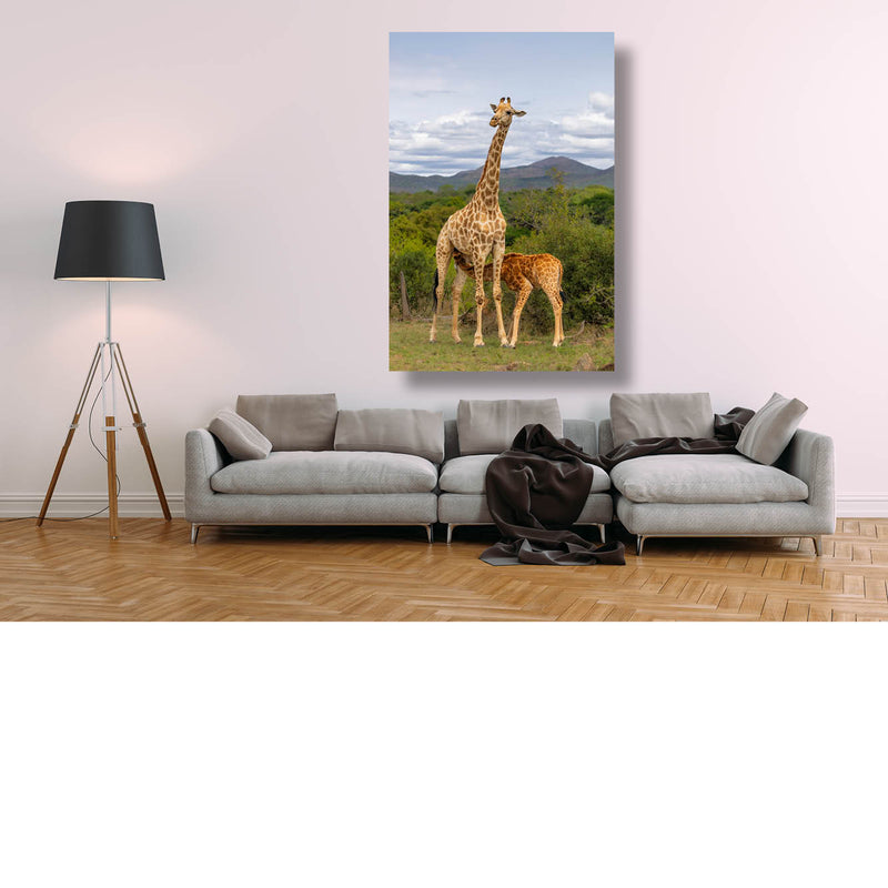 Babygiraffe drinkt bij mama