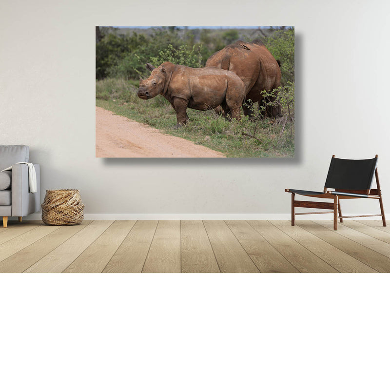 Baby neushoorn bij mama