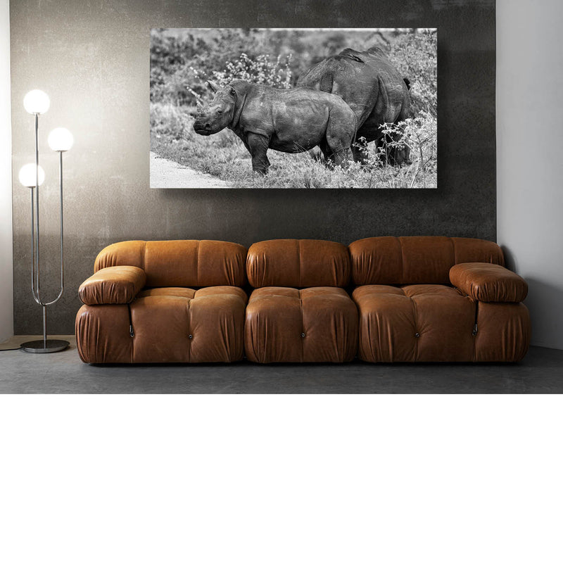 Baby neushoorn bij mama (Zwart-wit)
