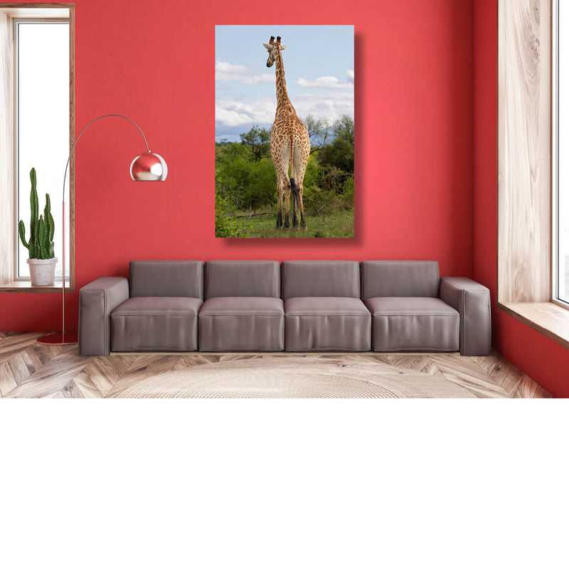 Giraffe van de achterkant