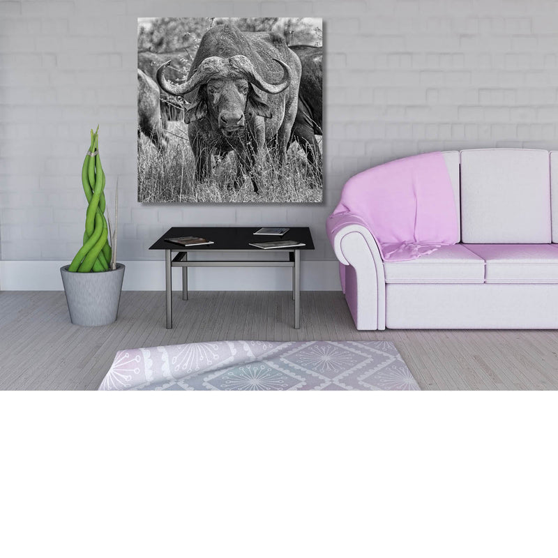 Buffel