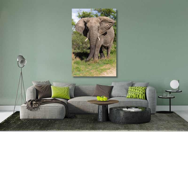Olifant