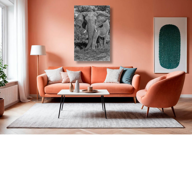 Olifant (Zwart-wit)