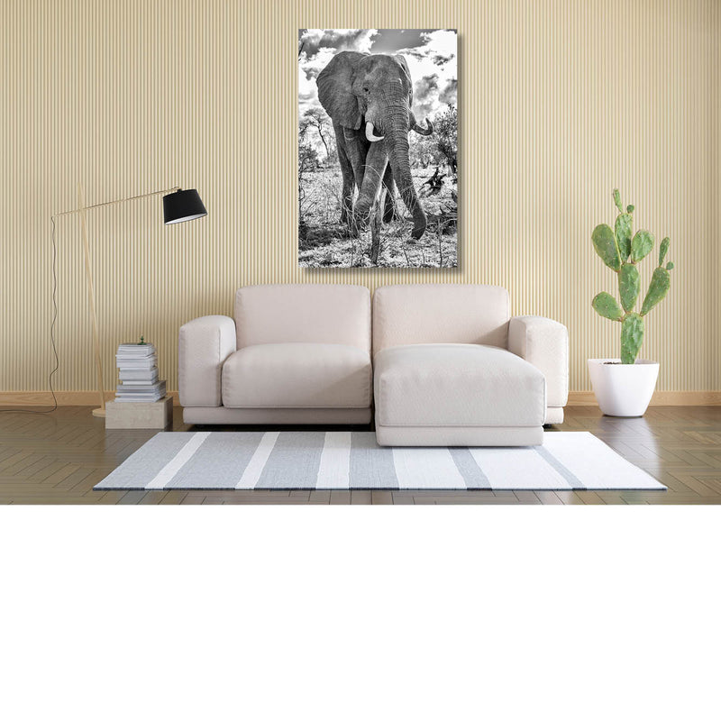 Olifant (Zwart-wit)