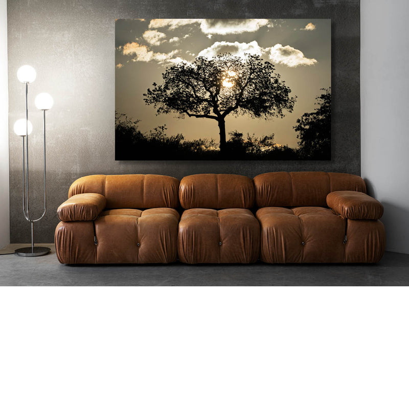 Landschap Krugerpark
