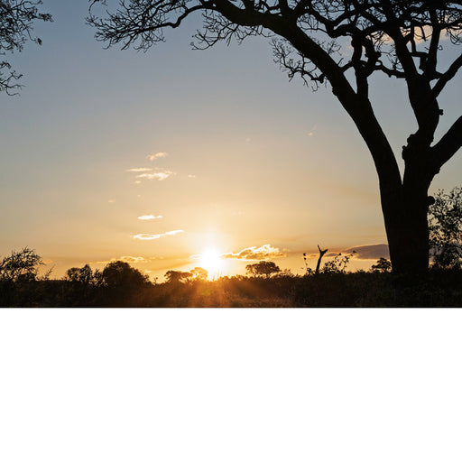 Zonsondergang in Krugerpark