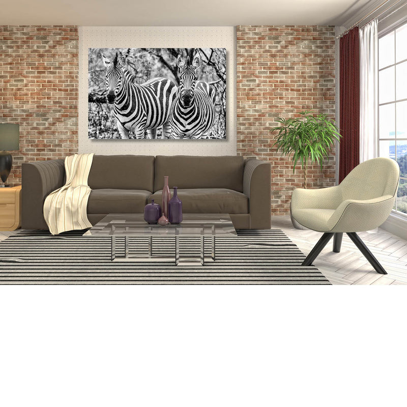 Duozebra