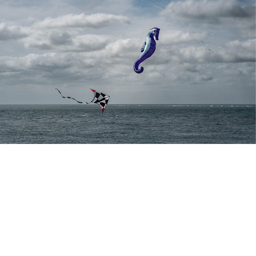 Windvliegers en wolkjes boven zee 