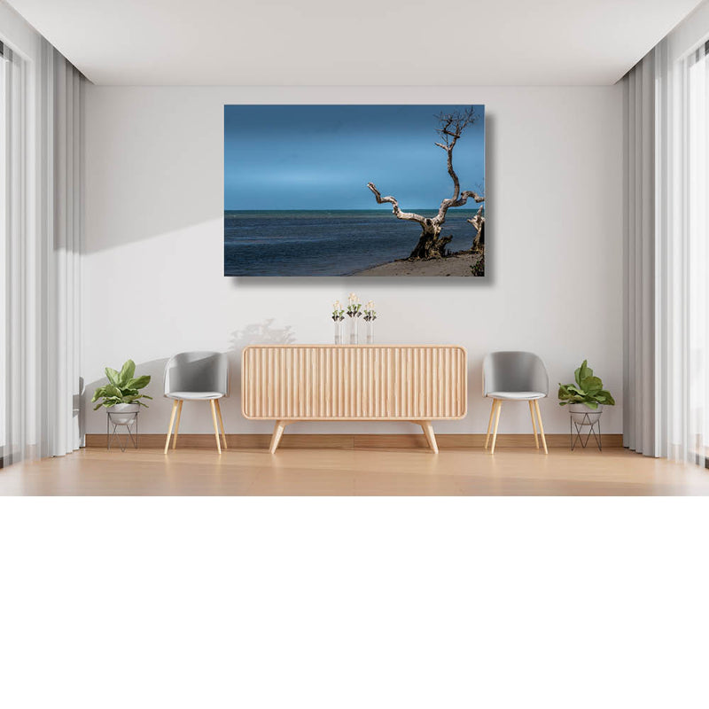 Dode boom levende zee