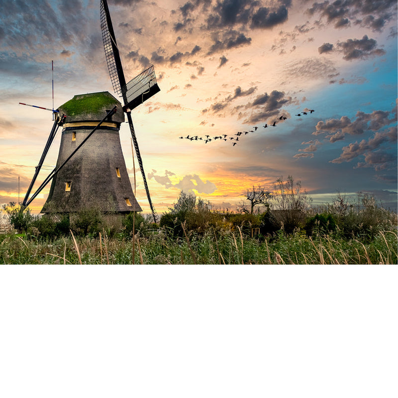 Het perfecte plaatje! Windmolen, heerlijke lucht en de vlucht van de eenden om het af te maken.