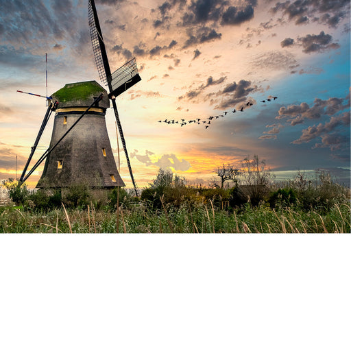 Het perfecte plaatje! Windmolen, heerlijke lucht en de vlucht van de eenden om het af te maken.