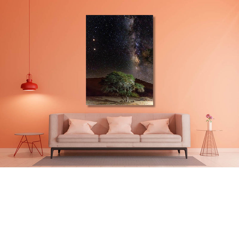 Van de boom naar de sterren