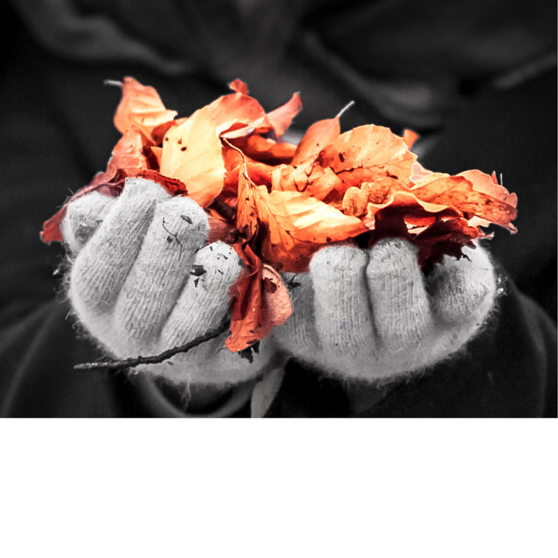 Deze handen hebben letterlijk de herfst vastgepakt.