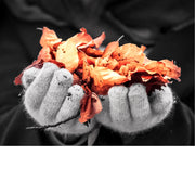 Deze handen hebben letterlijk de herfst vastgepakt.