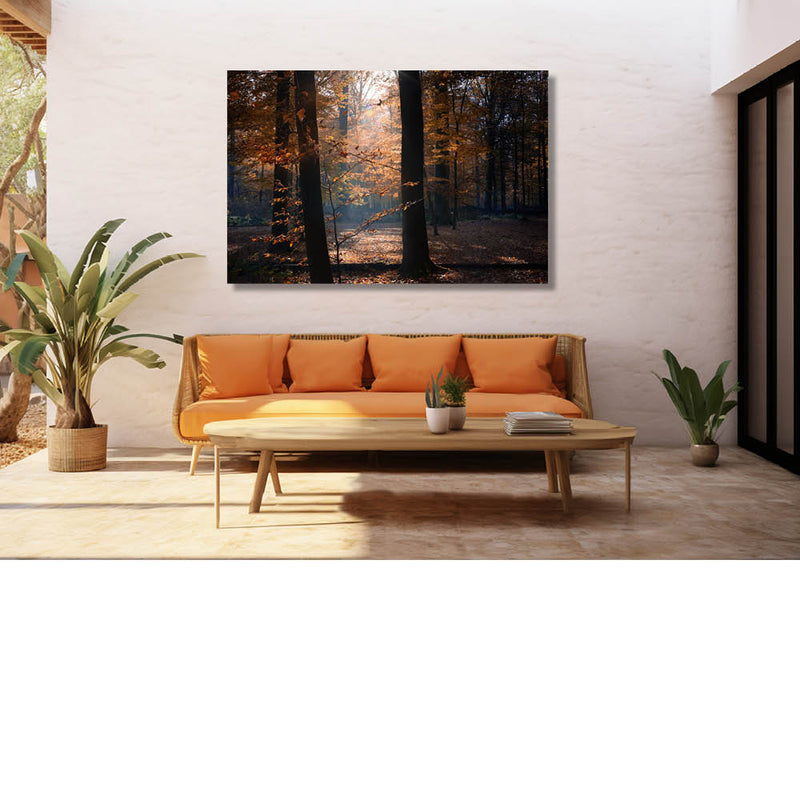 Zonlicht in het herfstbos