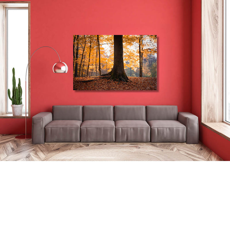 Gouden blaadjes in het bos