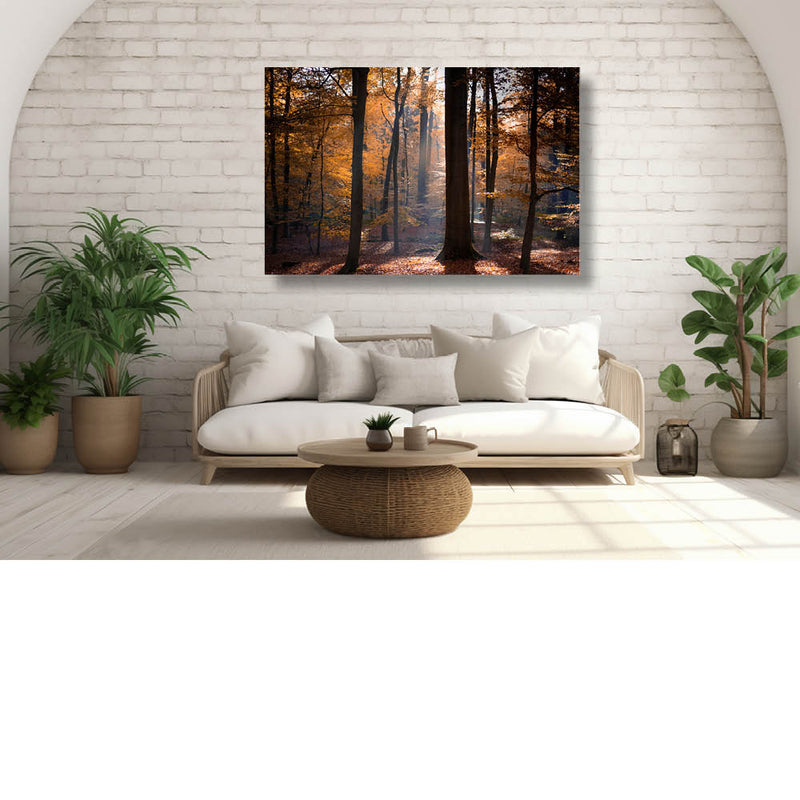 Herfstsfeer in het bos