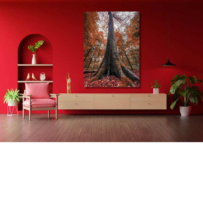 Kijk omhoog langs de stam