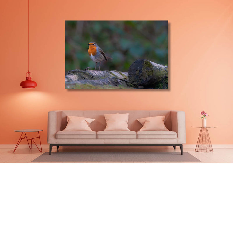 Uit volle (rood)borst