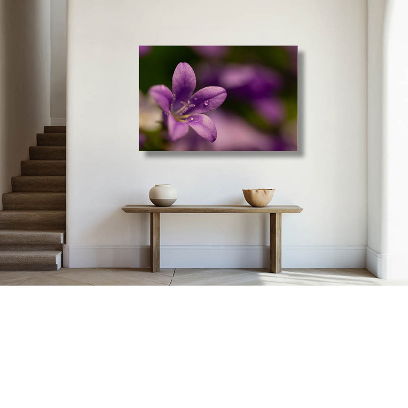 Klokjesbloem Close-up