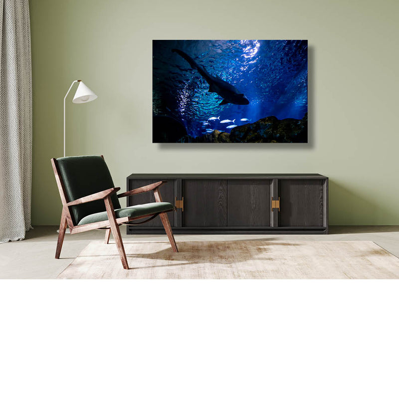 Onder water onder de haai