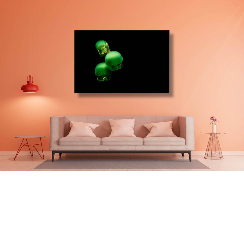 Dans van de groene kwallen