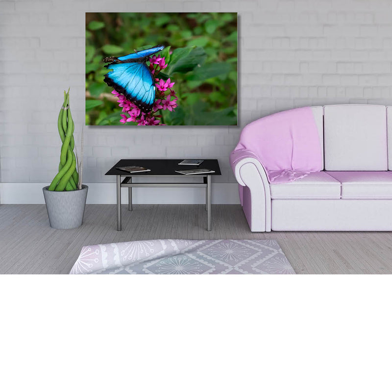 Fladderen van blauw naar roze