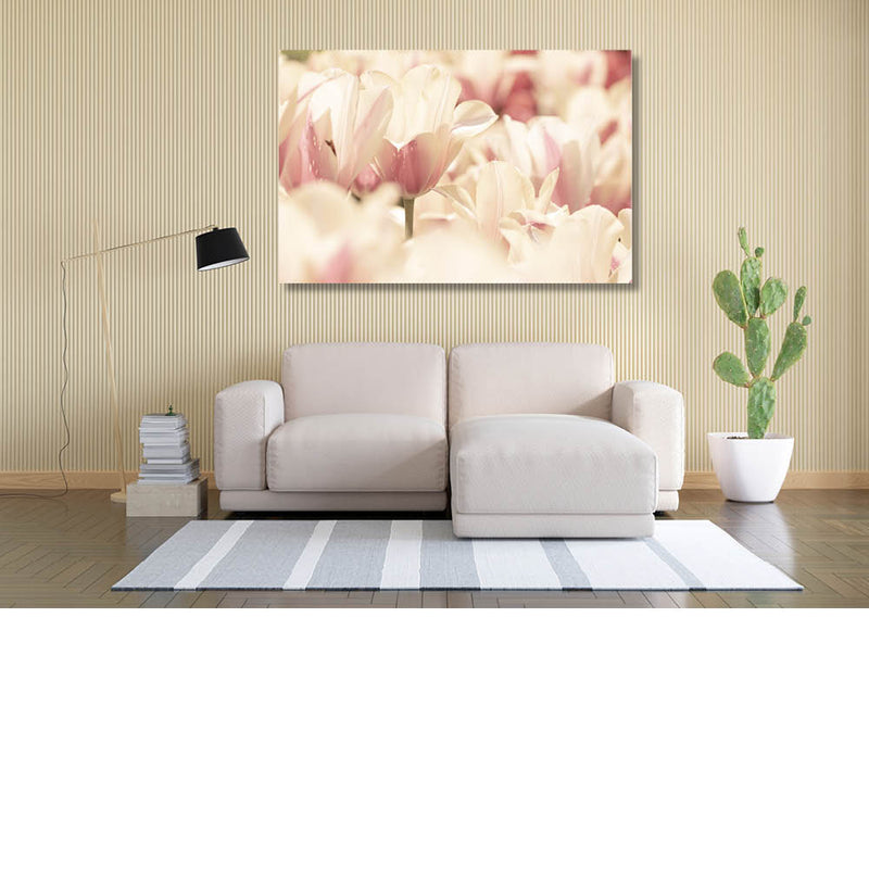 Witte tulpen in high key