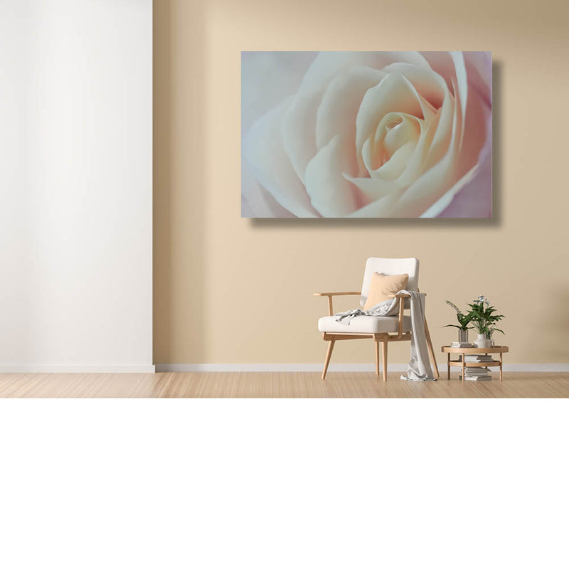 Japanse roos, up close 1