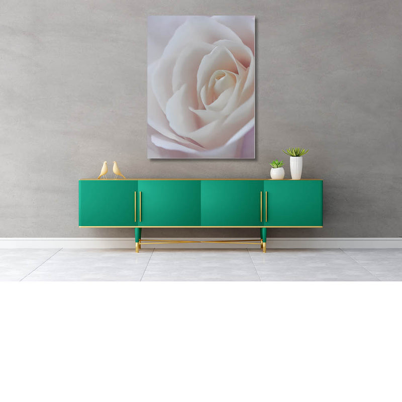 Japanse roos, up close 2