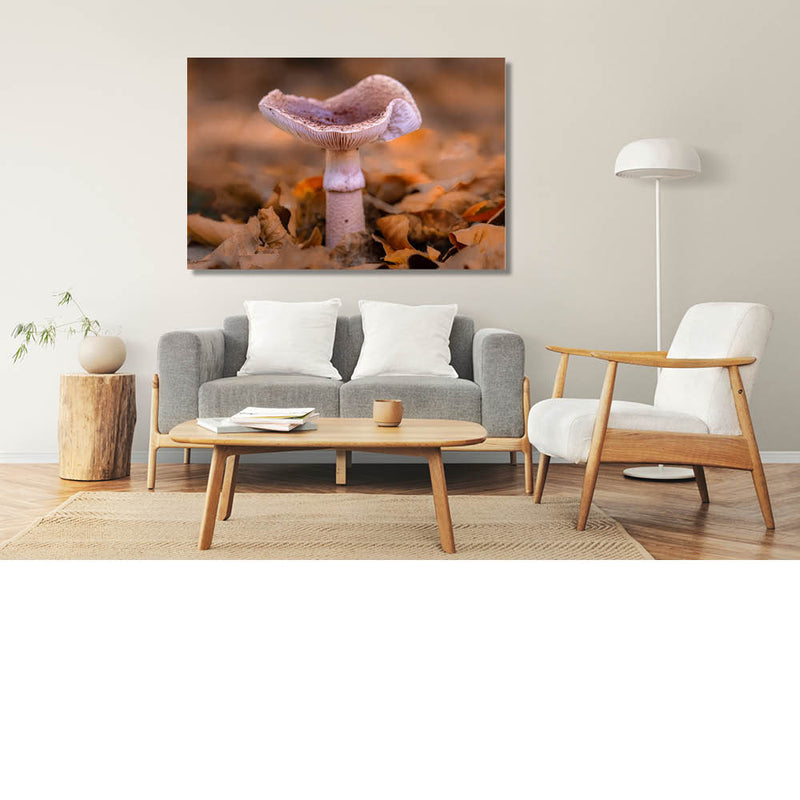 Blozende paddenstoel