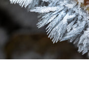 Rijpkristallen zien er uit als hele kleine naaldjes.