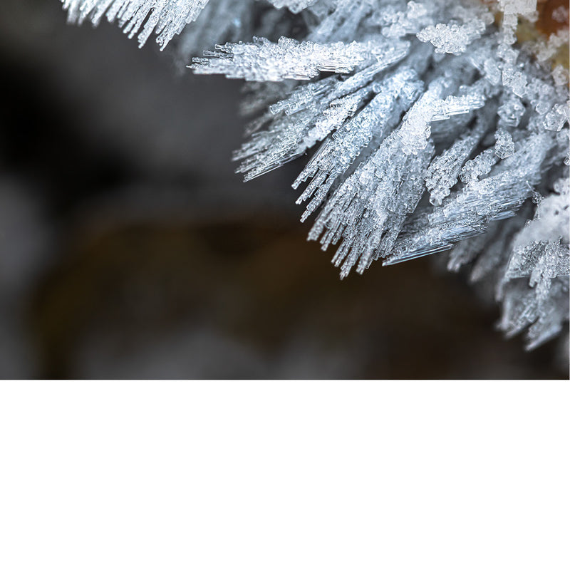 Rijpkristallen zien er uit als hele kleine naaldjes.