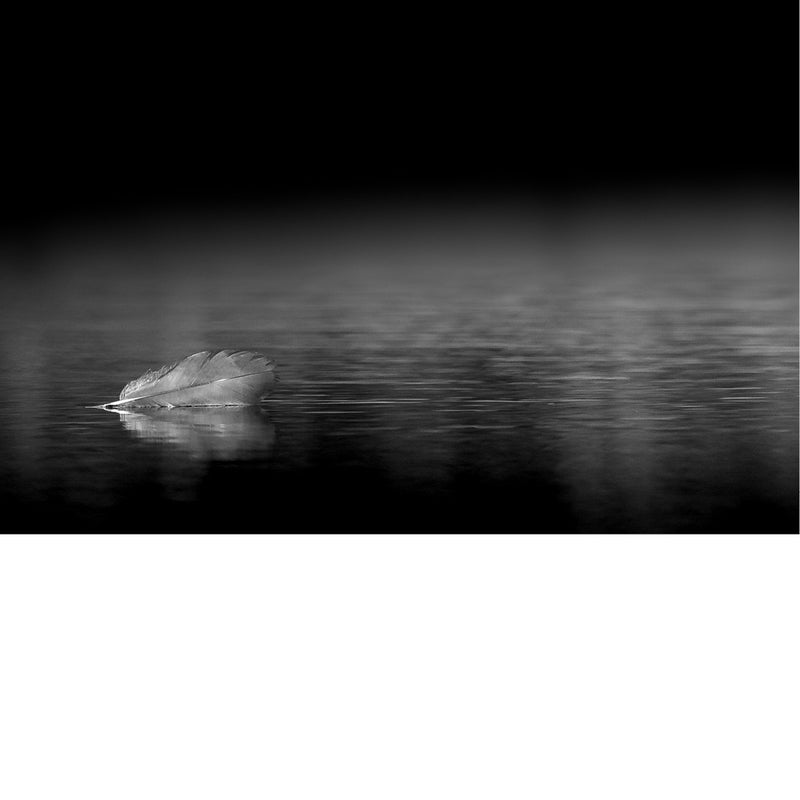 Droimerig beeld van een veertje dat op het water ligt.