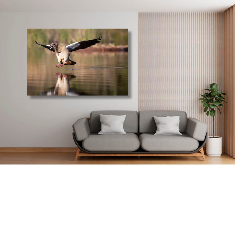 Dit is een noodlanding