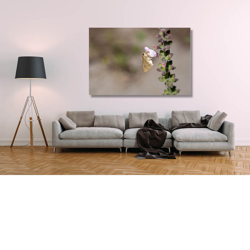 Drinken uit de bloem